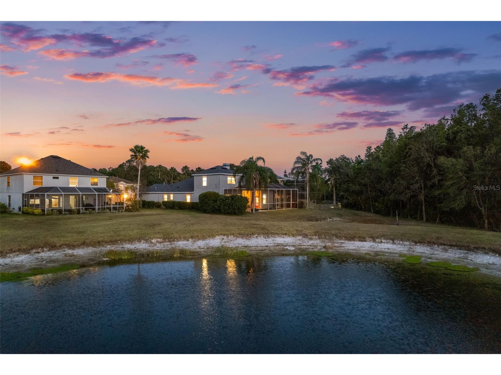 27338 Hollybrook Trail Wesley Chapel FL 33544 TB8507755 image58