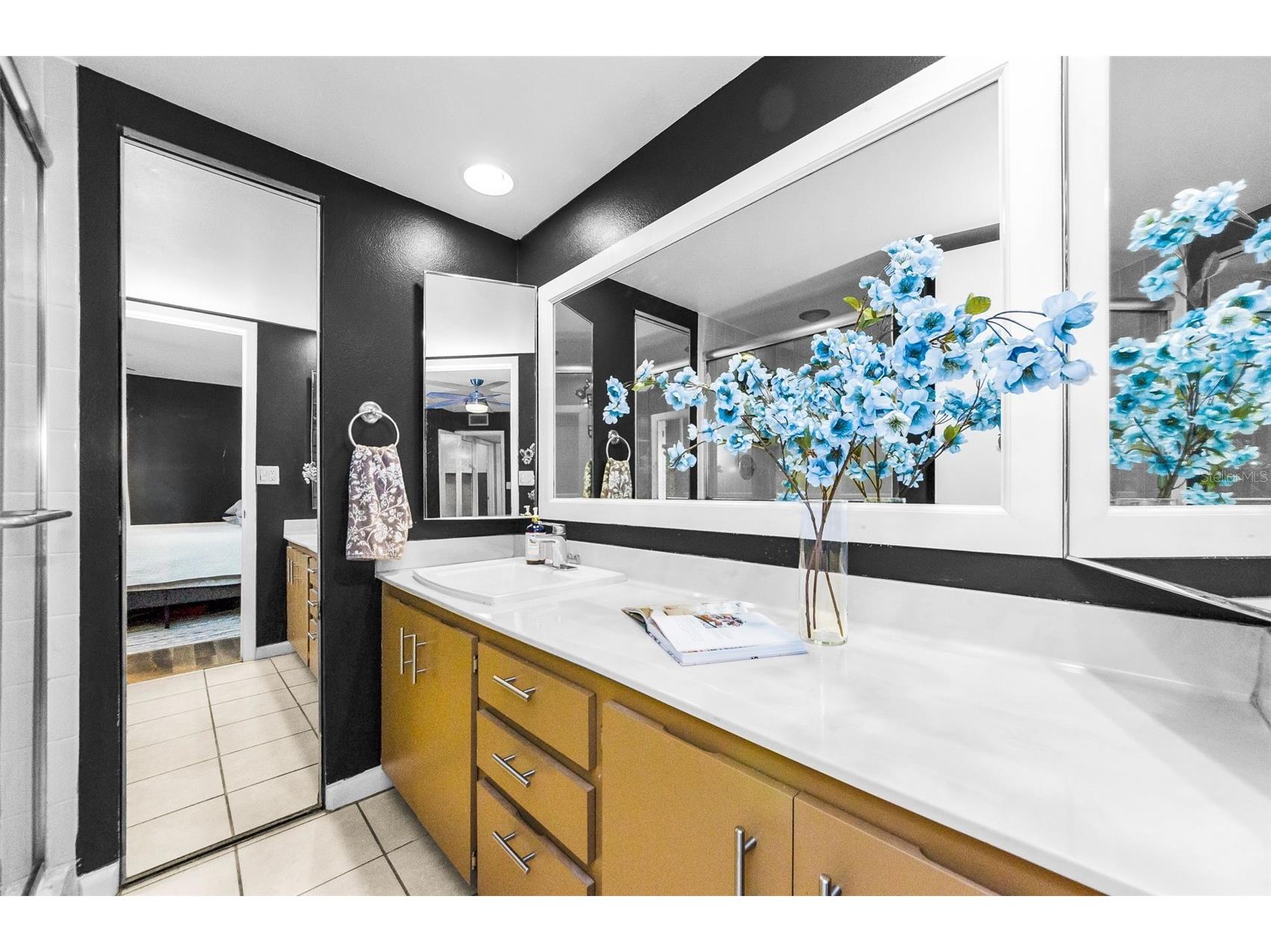 2734 5th Court Palm Harbor FL 34684 TB8439294 image24