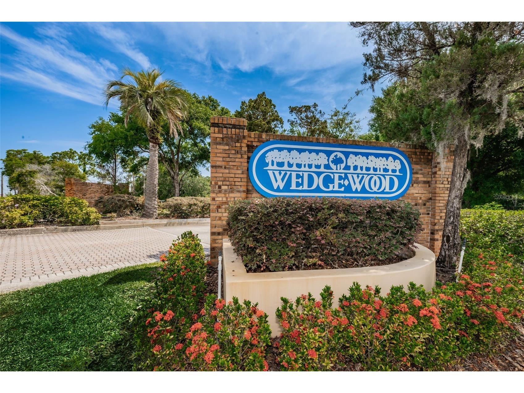 2734 5th Court Palm Harbor FL 34684 TB8439294 image32