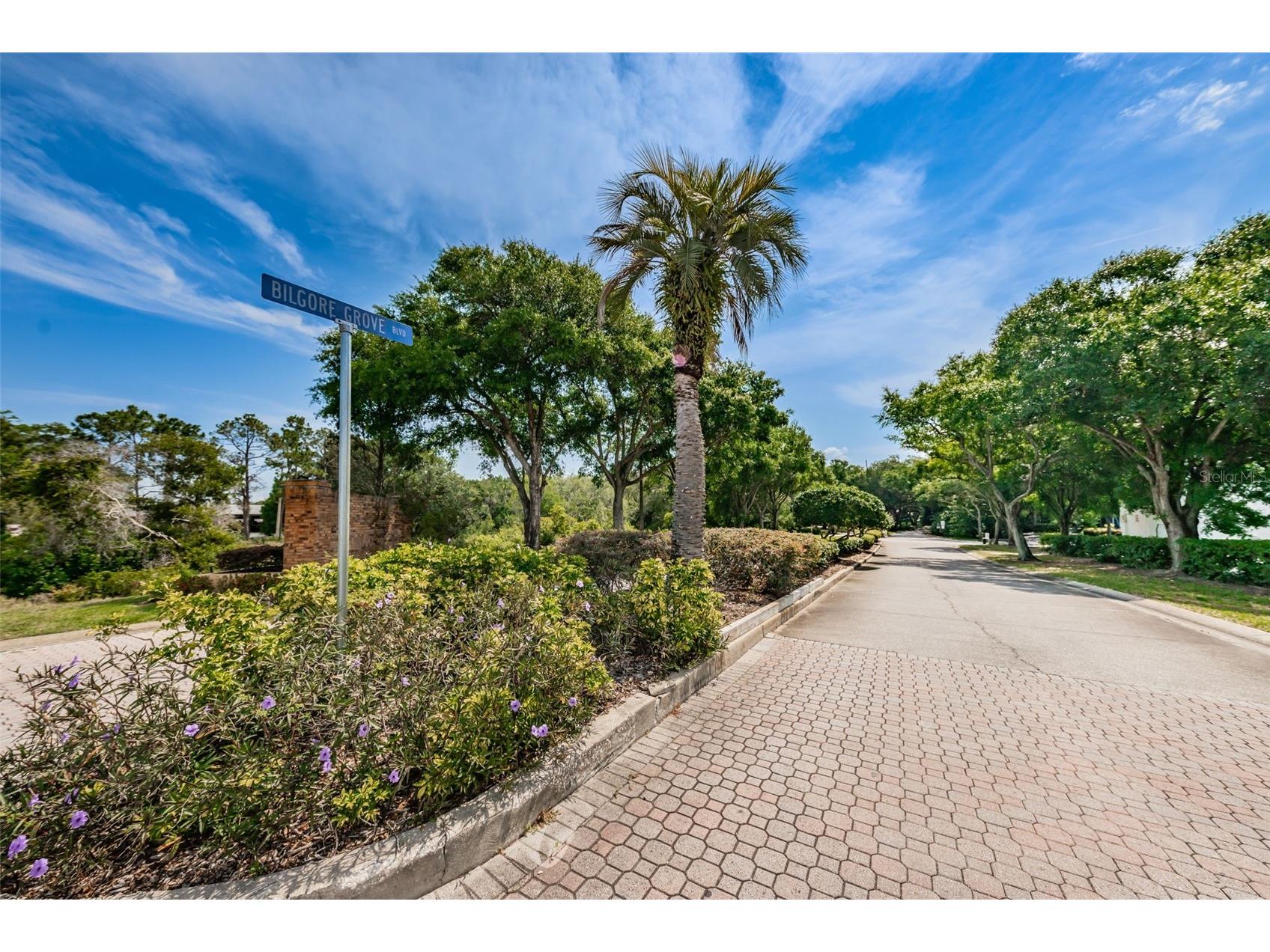 2734 5th Court Palm Harbor FL 34684 TB8439294 image33