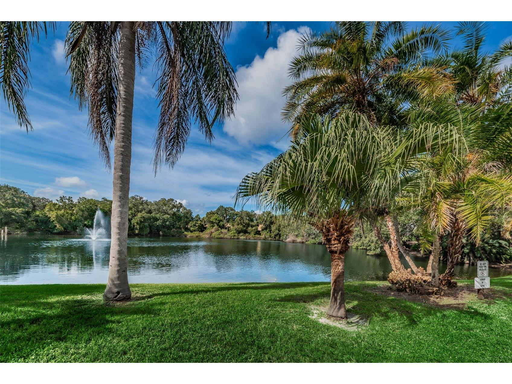 2734 5th Court Palm Harbor FL 34684 TB8439294 image34