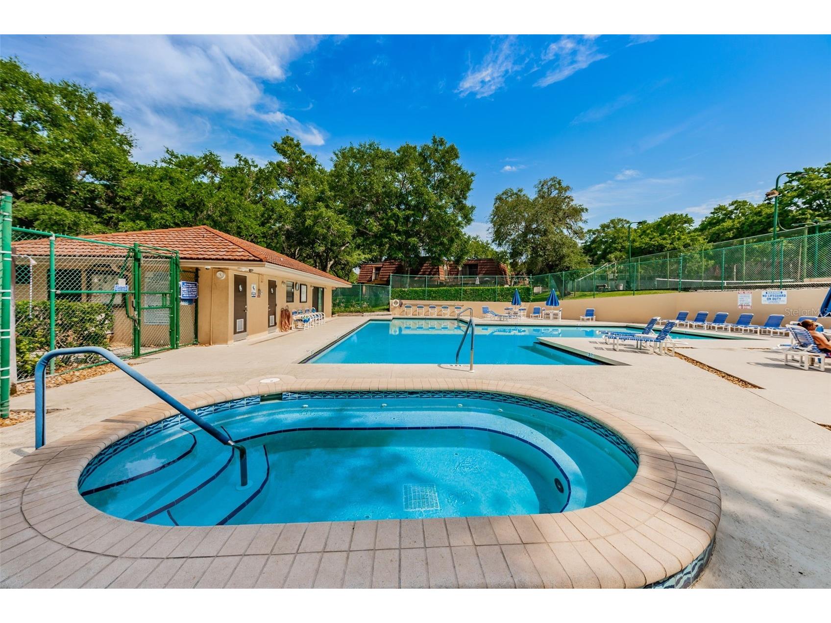 2734 5th Court Palm Harbor FL 34684 TB8439294 image36