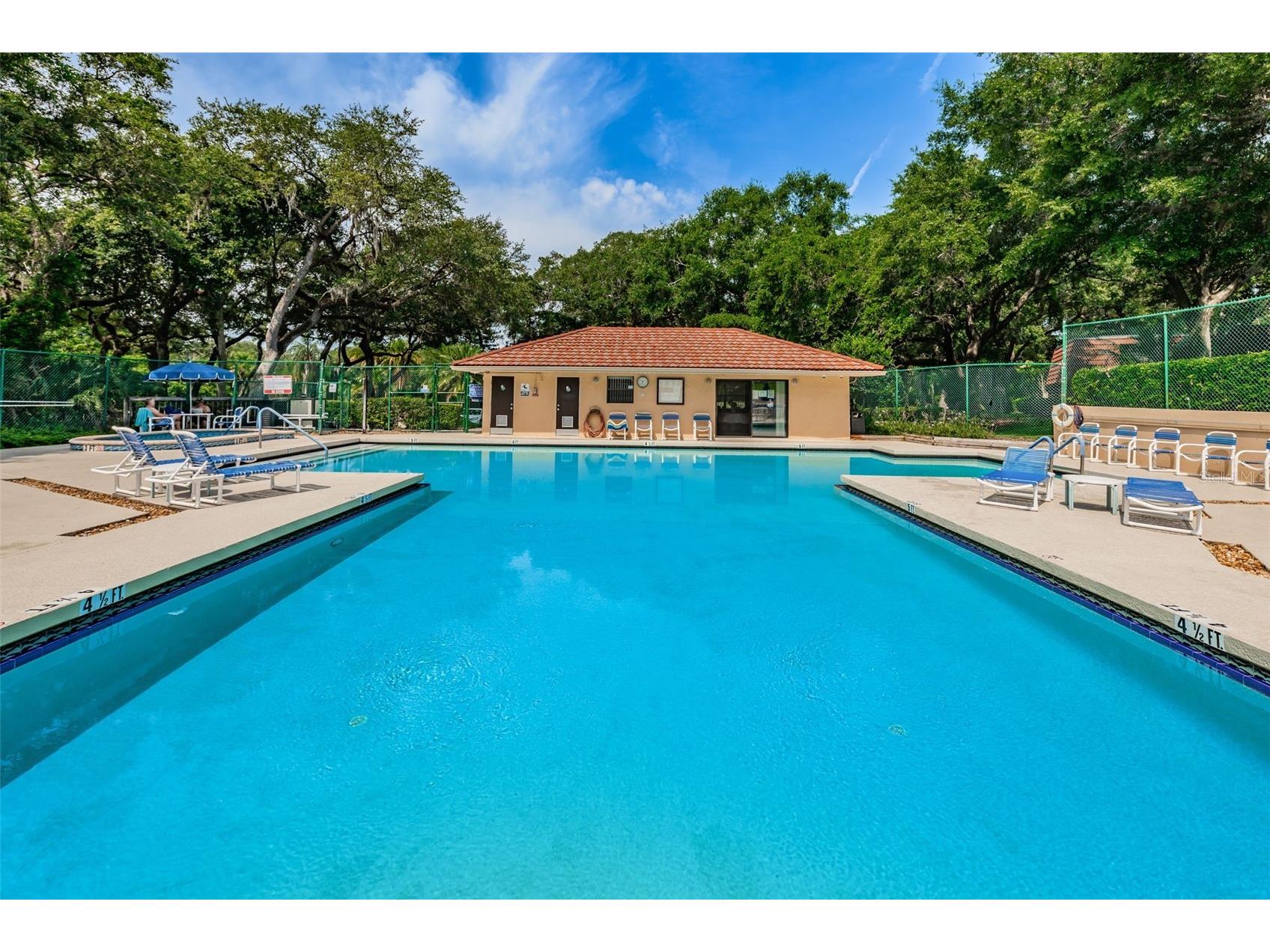 2734 5th Court Palm Harbor FL 34684 TB8439294 image37