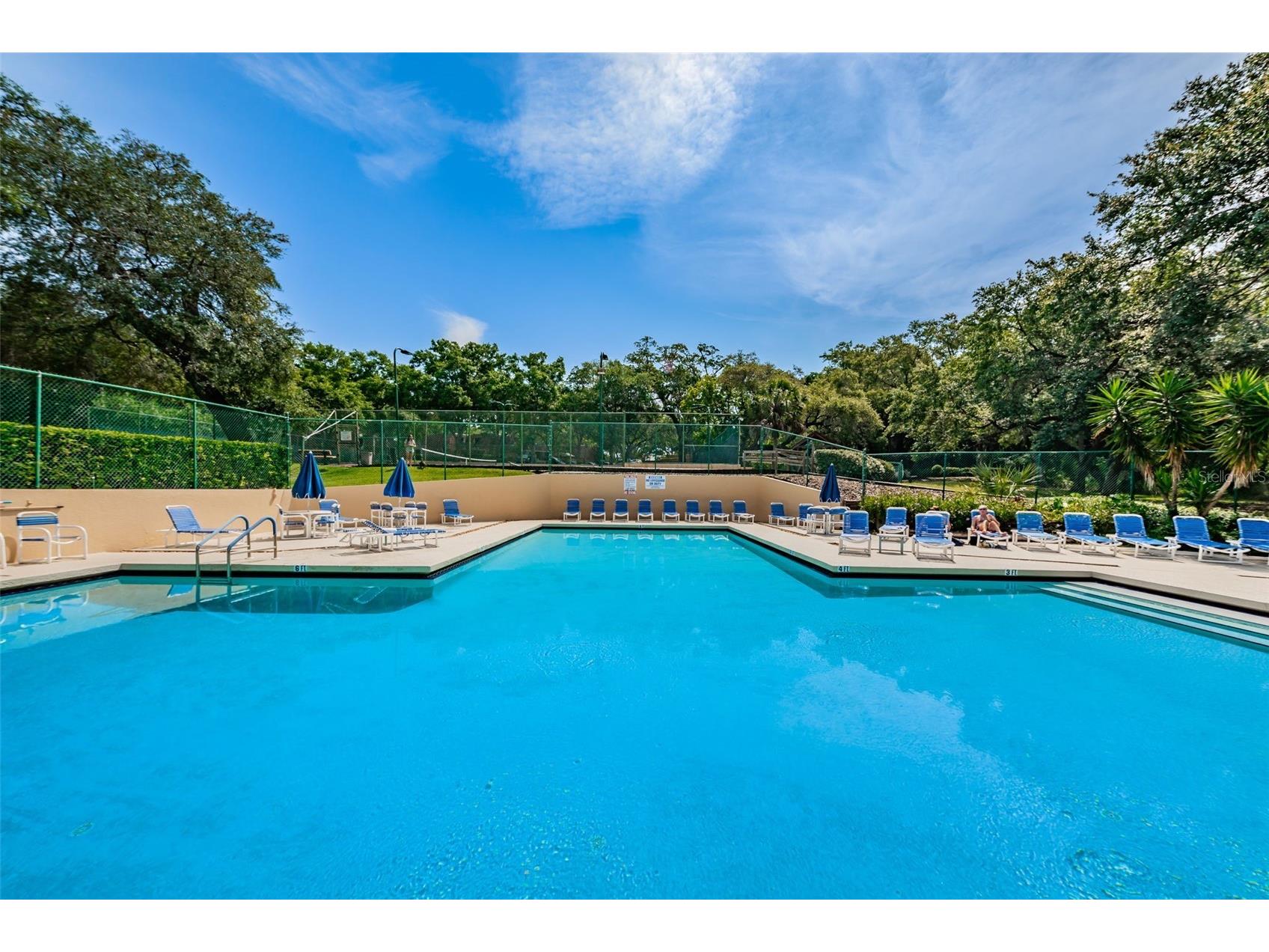 2734 5th Court Palm Harbor FL 34684 TB8439294 image38