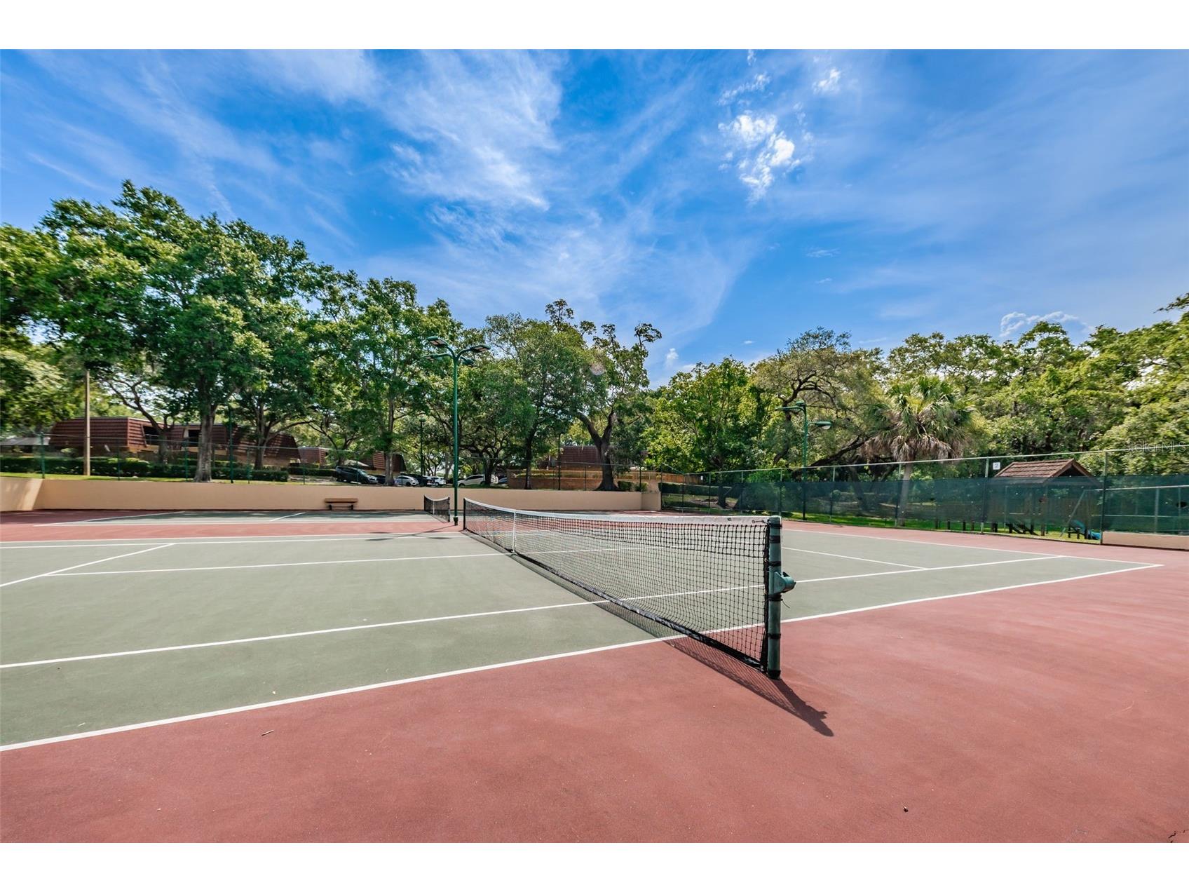 2734 5th Court Palm Harbor FL 34684 TB8439294 image42