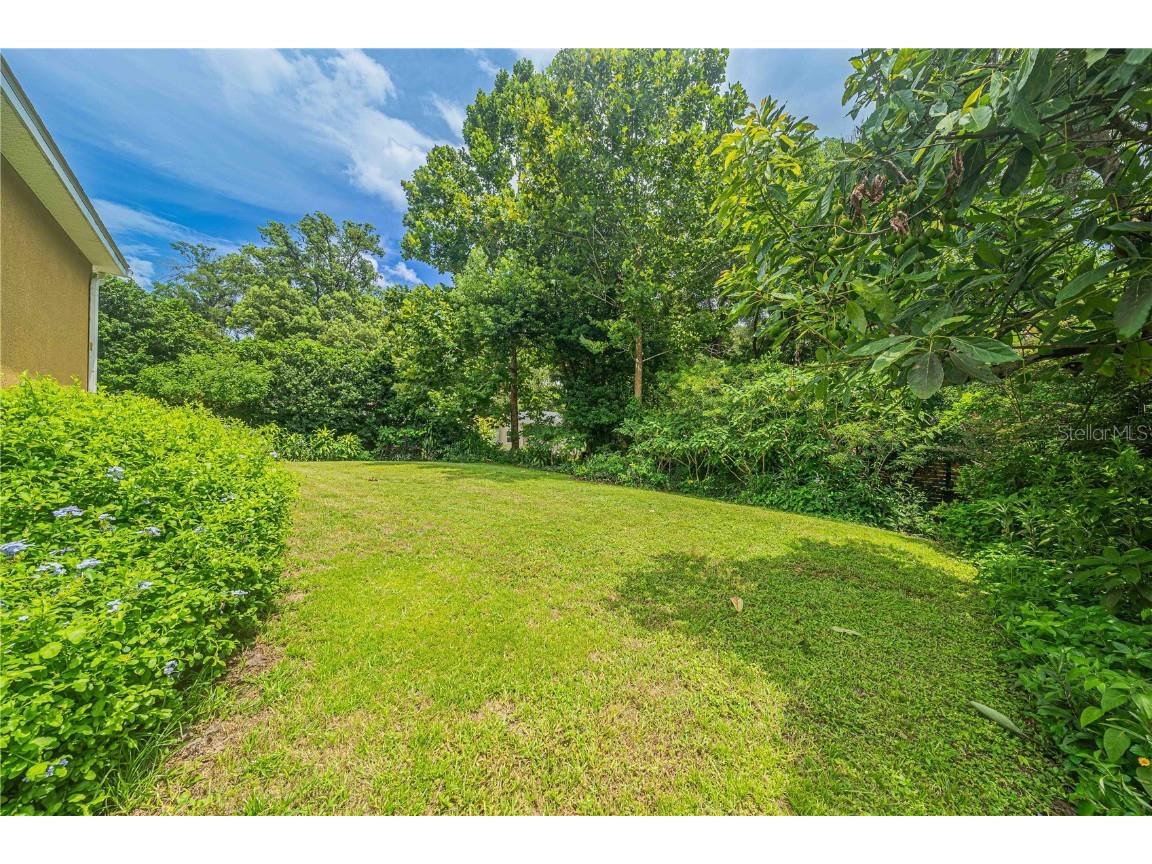 2734 Mendelin Street Apopka FL 32703 V4937554 image48