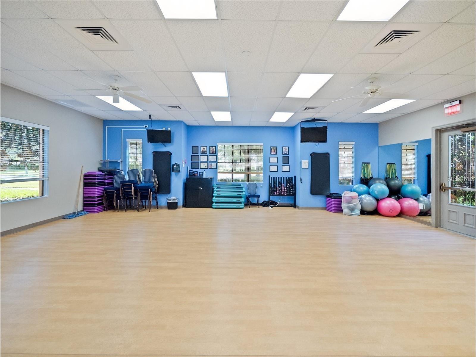 27343 Roanoke Drive Leesburg FL 34748 - FRESHWATER R4910273 image67