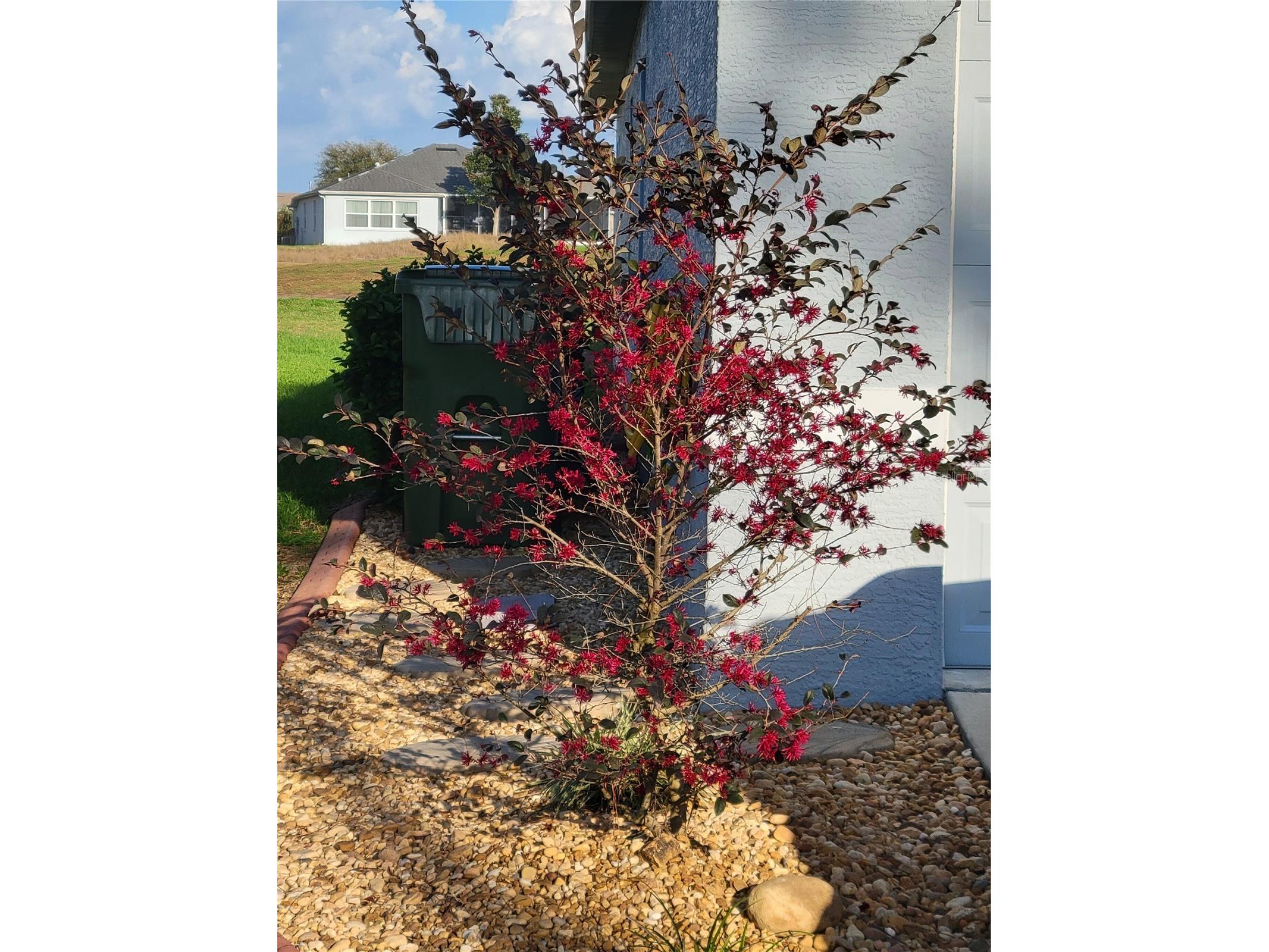 27343 Roanoke Drive Leesburg FL 34748 - FRESHWATER R4910273 image98