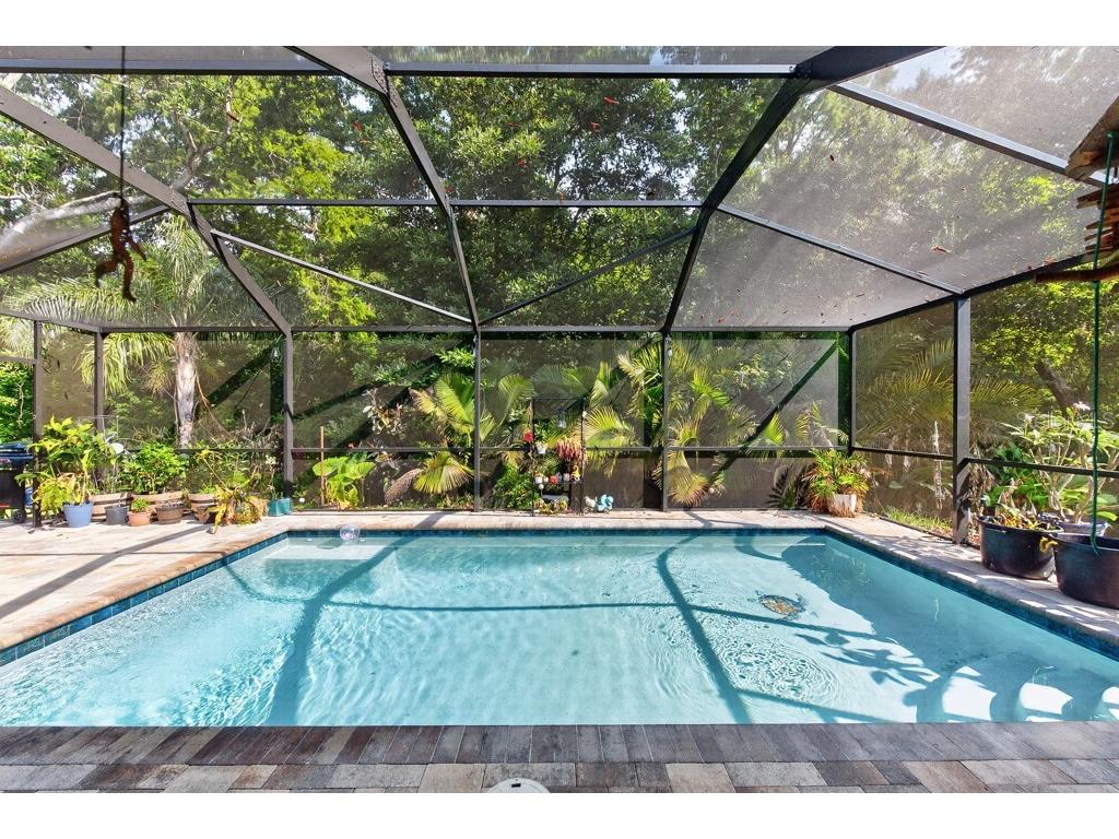 2735 Cypress Hollow Court New Port Richey FL 34655 TB8509221 image40