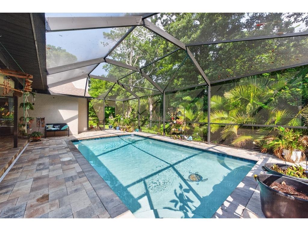 2735 Cypress Hollow Court New Port Richey FL 34655 TB8509221 image41
