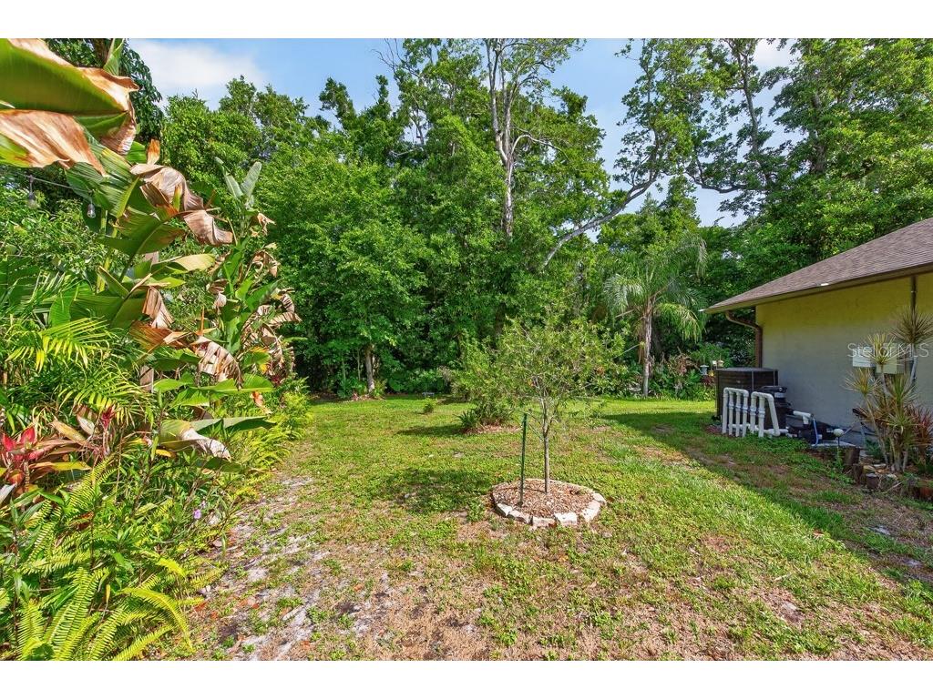 2735 Cypress Hollow Court New Port Richey FL 34655 TB8509221 image47