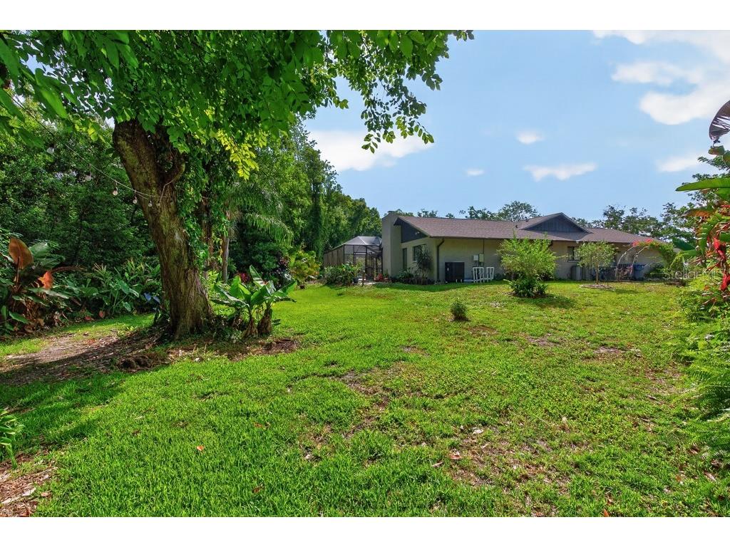 2735 Cypress Hollow Court New Port Richey FL 34655 TB8509221 image49