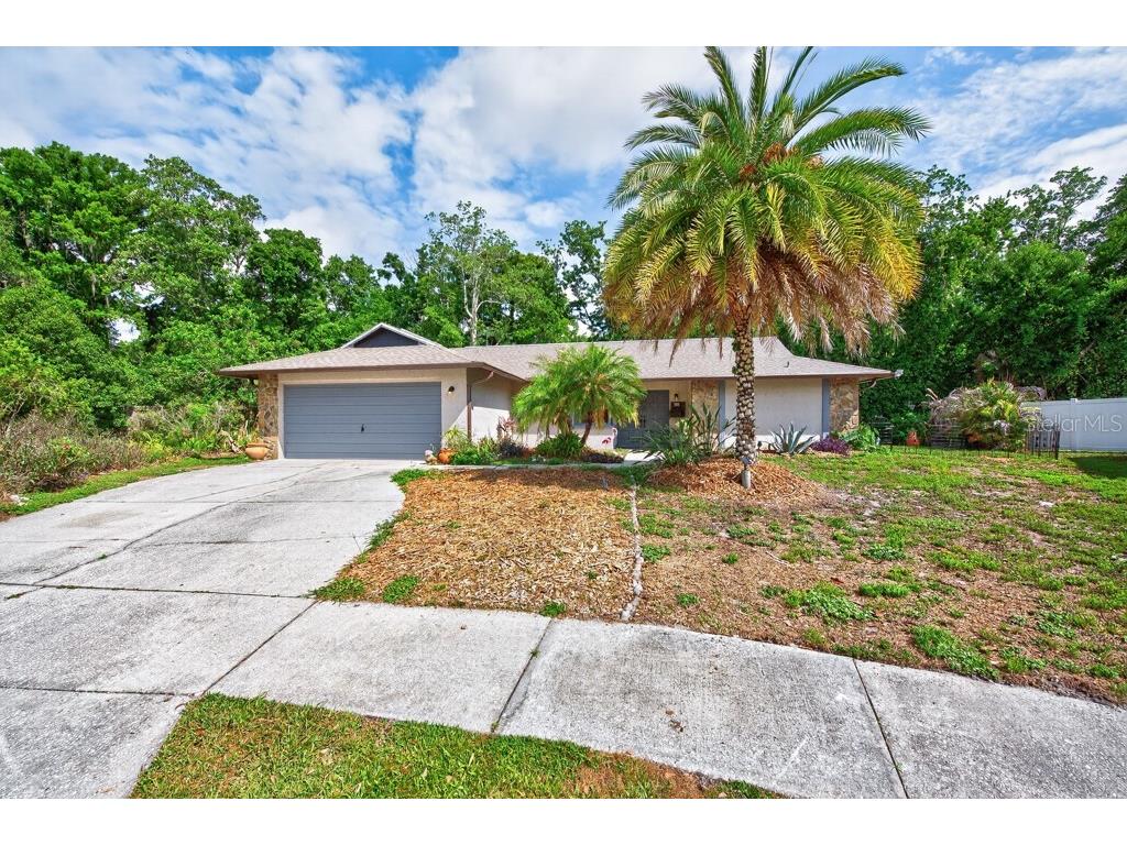 2735 Cypress Hollow Court New Port Richey FL 34655 TB8509221 image52