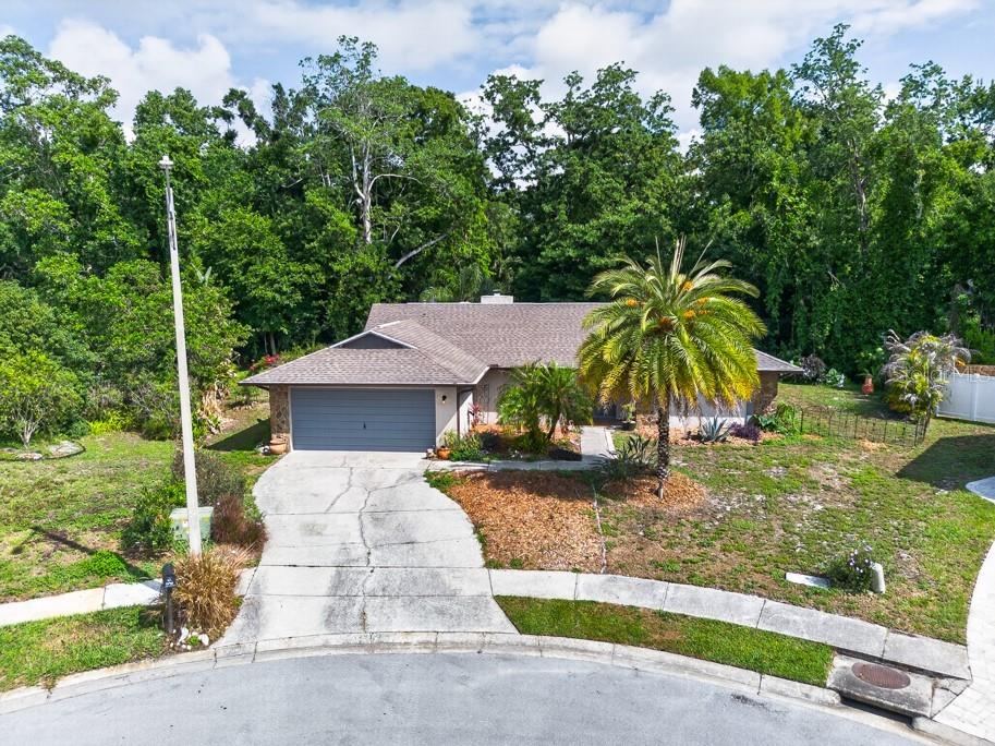 2735 Cypress Hollow Court New Port Richey FL 34655 TB8509221 image54