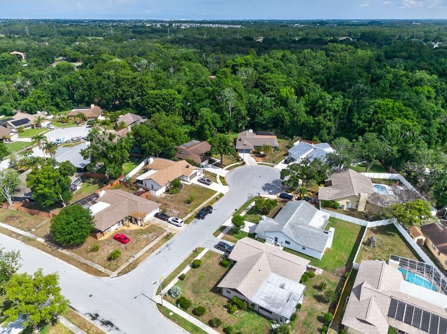 2735 Cypress Hollow Court New Port Richey FL 34655 TB8509221 image56