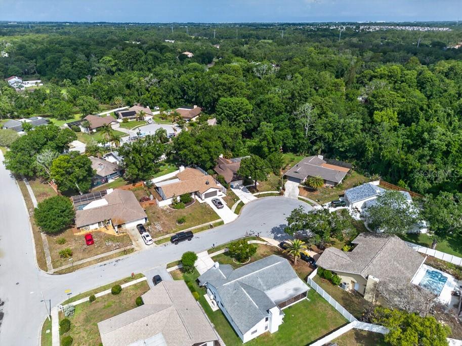 2735 Cypress Hollow Court New Port Richey FL 34655 TB8509221 image57
