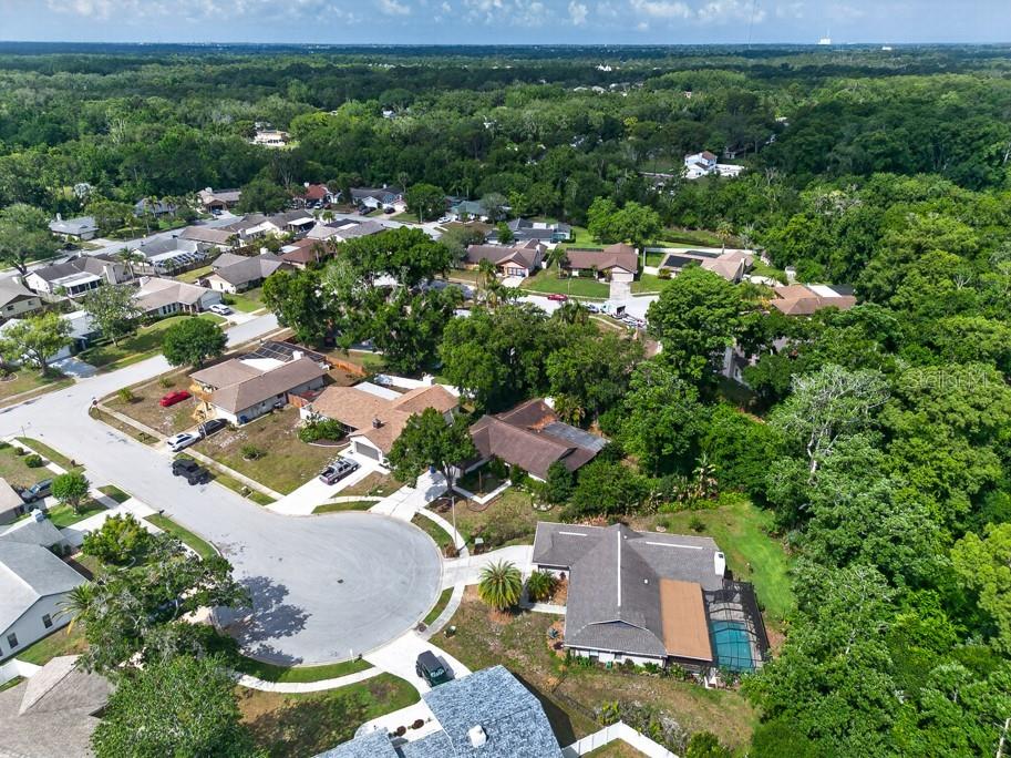2735 Cypress Hollow Court New Port Richey FL 34655 TB8509221 image58