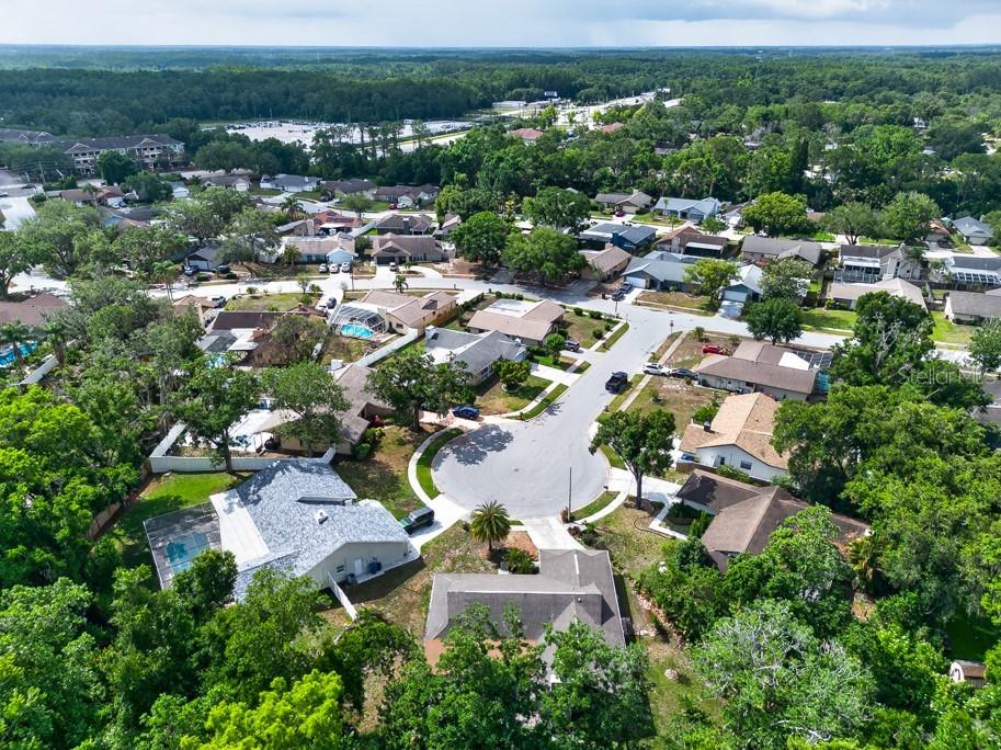 2735 Cypress Hollow Court New Port Richey FL 34655 TB8509221 image59