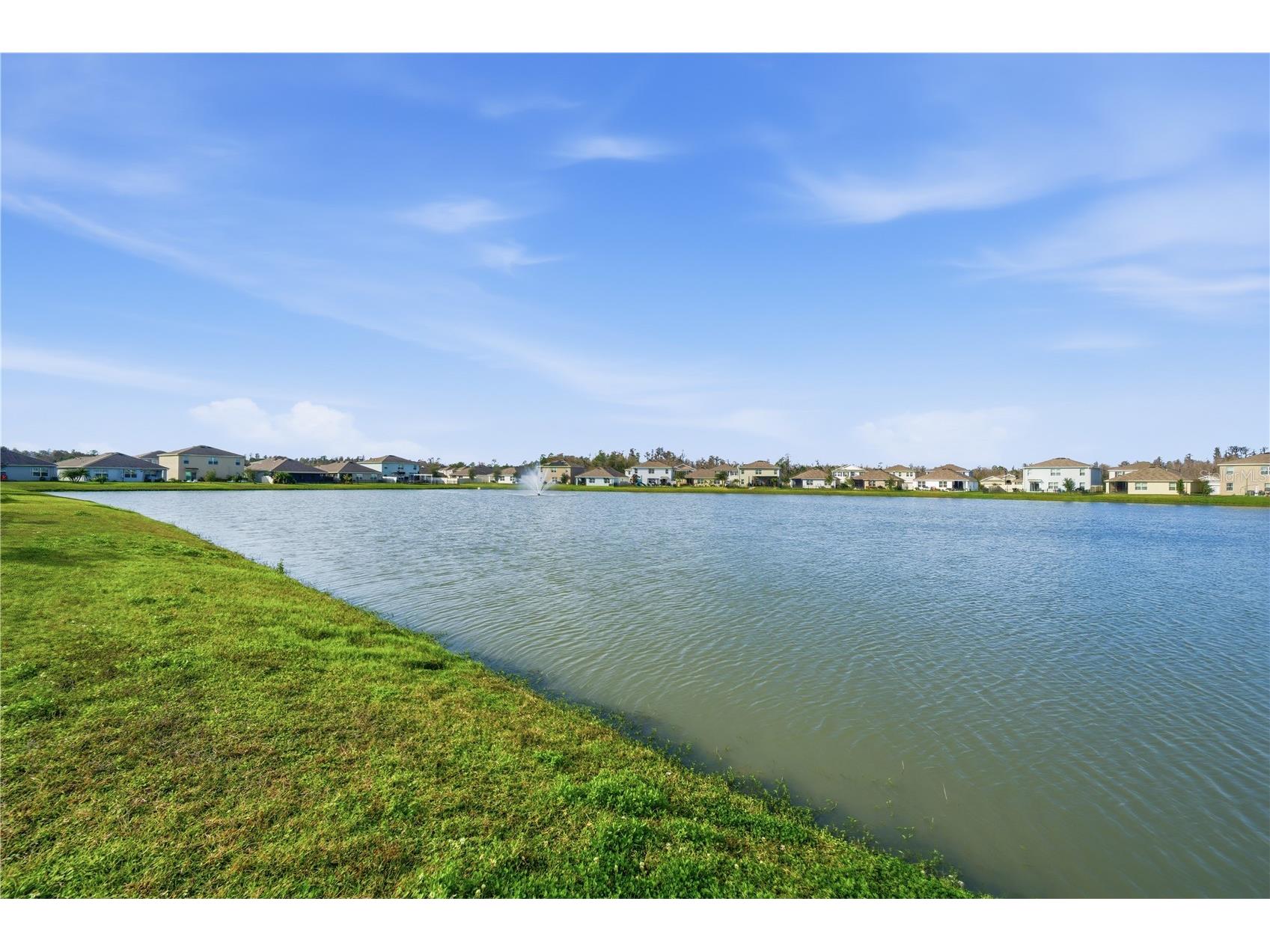 2735 Garden Plum Place Odessa FL 33556 TB8464426 image5