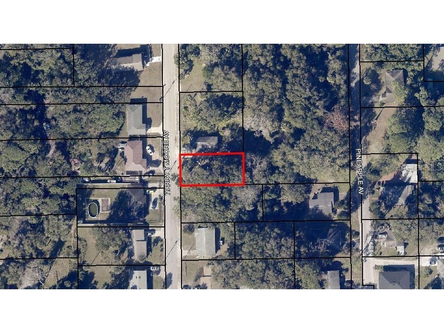 2735 Harry T Moore Avenue Mims FL 32754 O6371147 image3