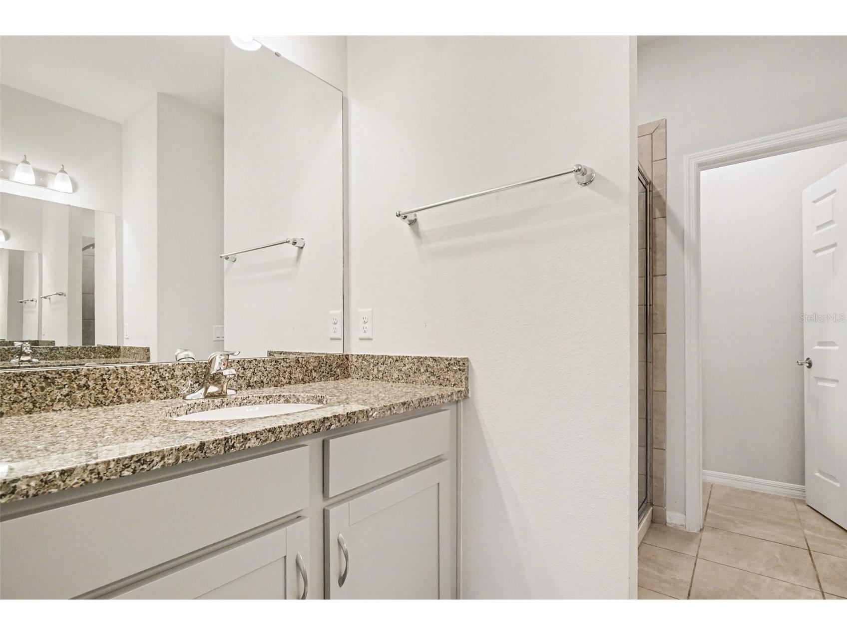 2735 Rowan Street Tavares FL 32778 O6386245 image12