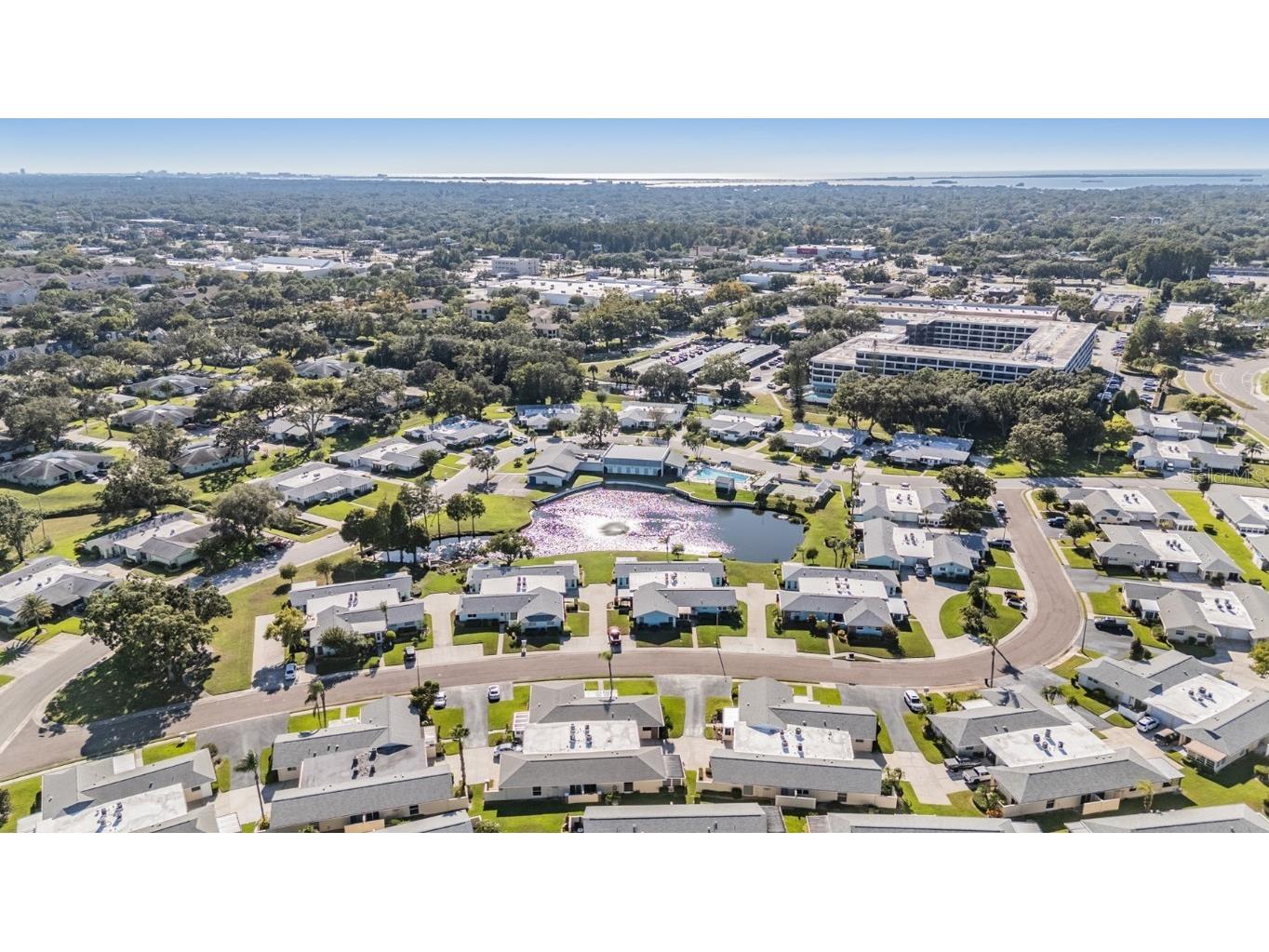 2735 Sherbrooke Lane #A Palm Harbor FL 34684 TB8438145 image32