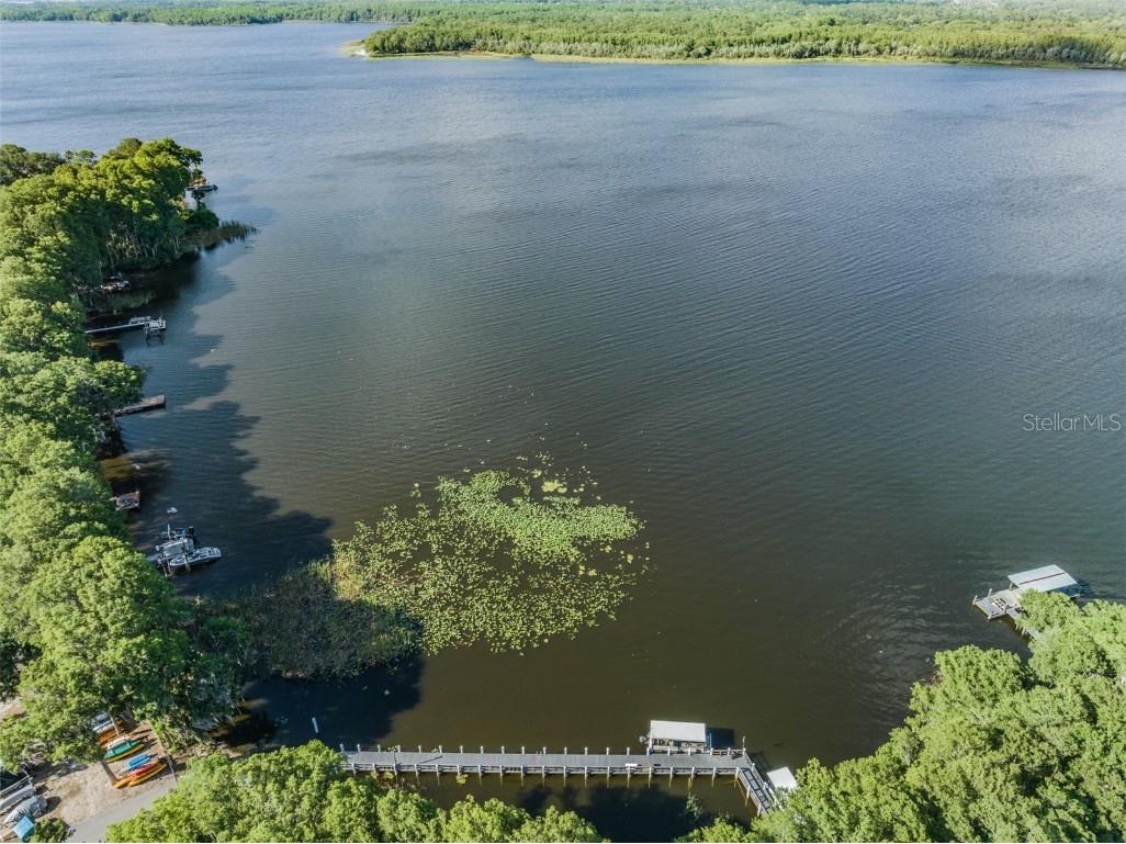 2735 Sherbrooke Lane #A Palm Harbor FL 34684 TB8438145 image55