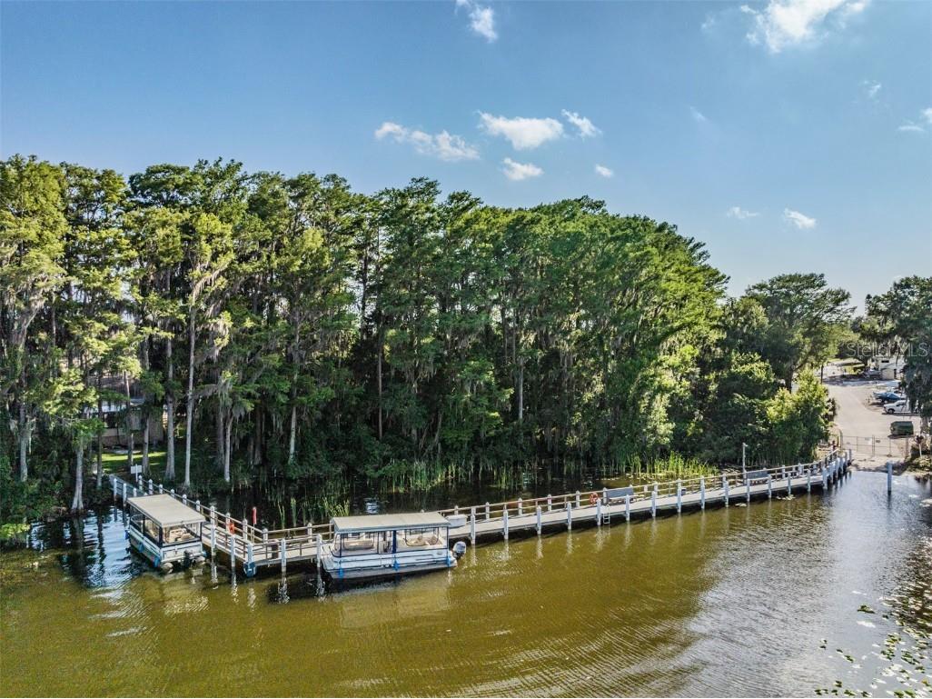 2735 Sherbrooke Lane #A Palm Harbor FL 34684 TB8438145 image56