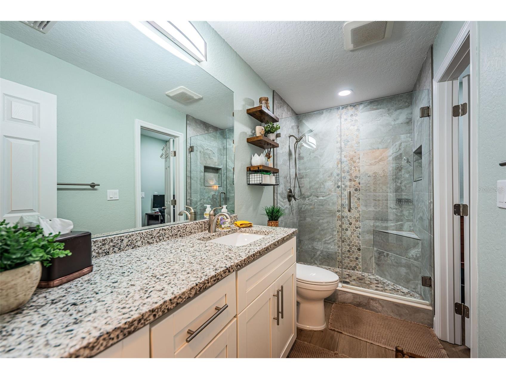 2735 Sherbrooke Lane #C Palm Harbor FL 34684 TB8523032 image30