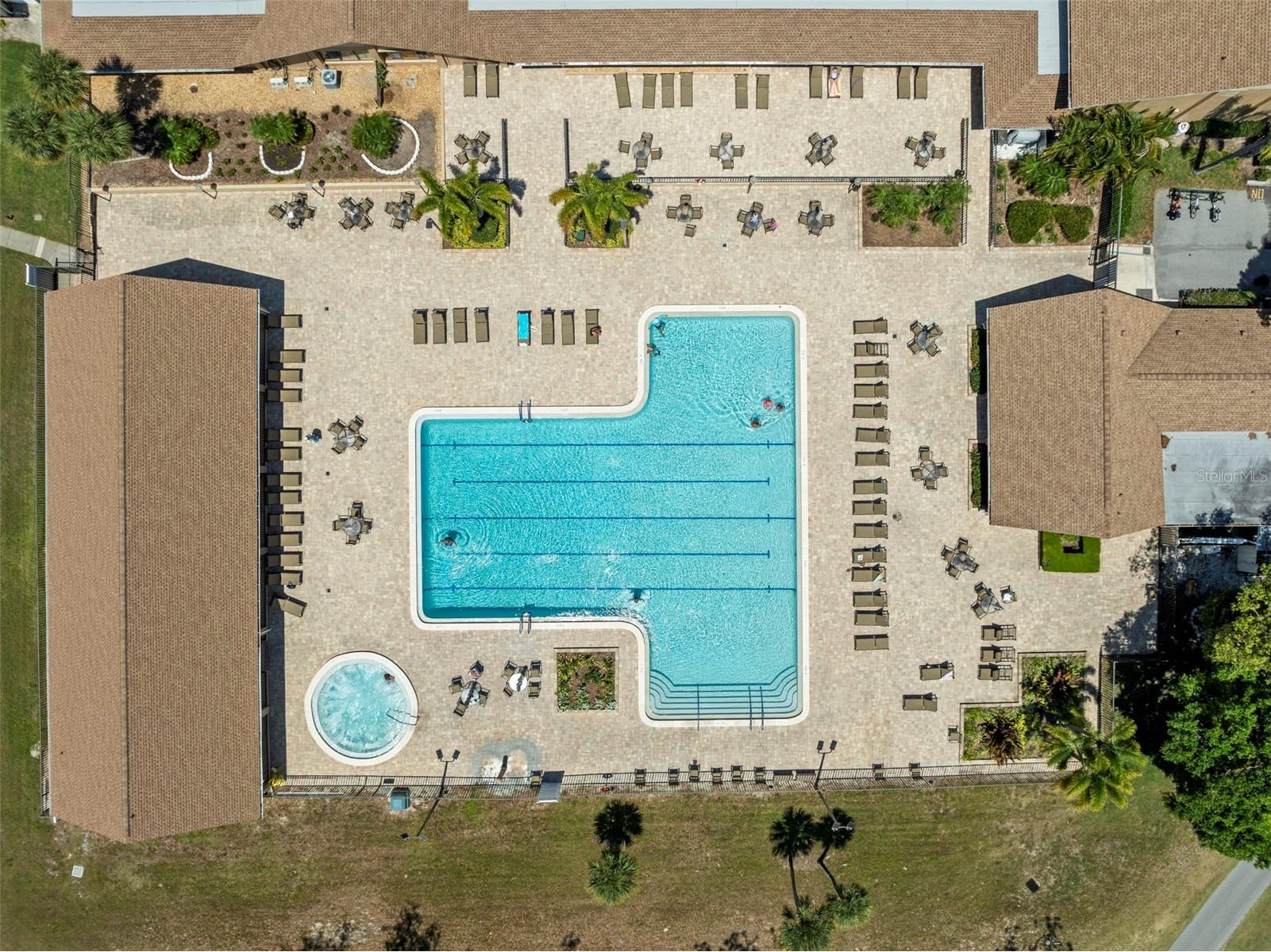 2735 Sherbrooke Lane #D Palm Harbor FL 34684 TB8461202 image25