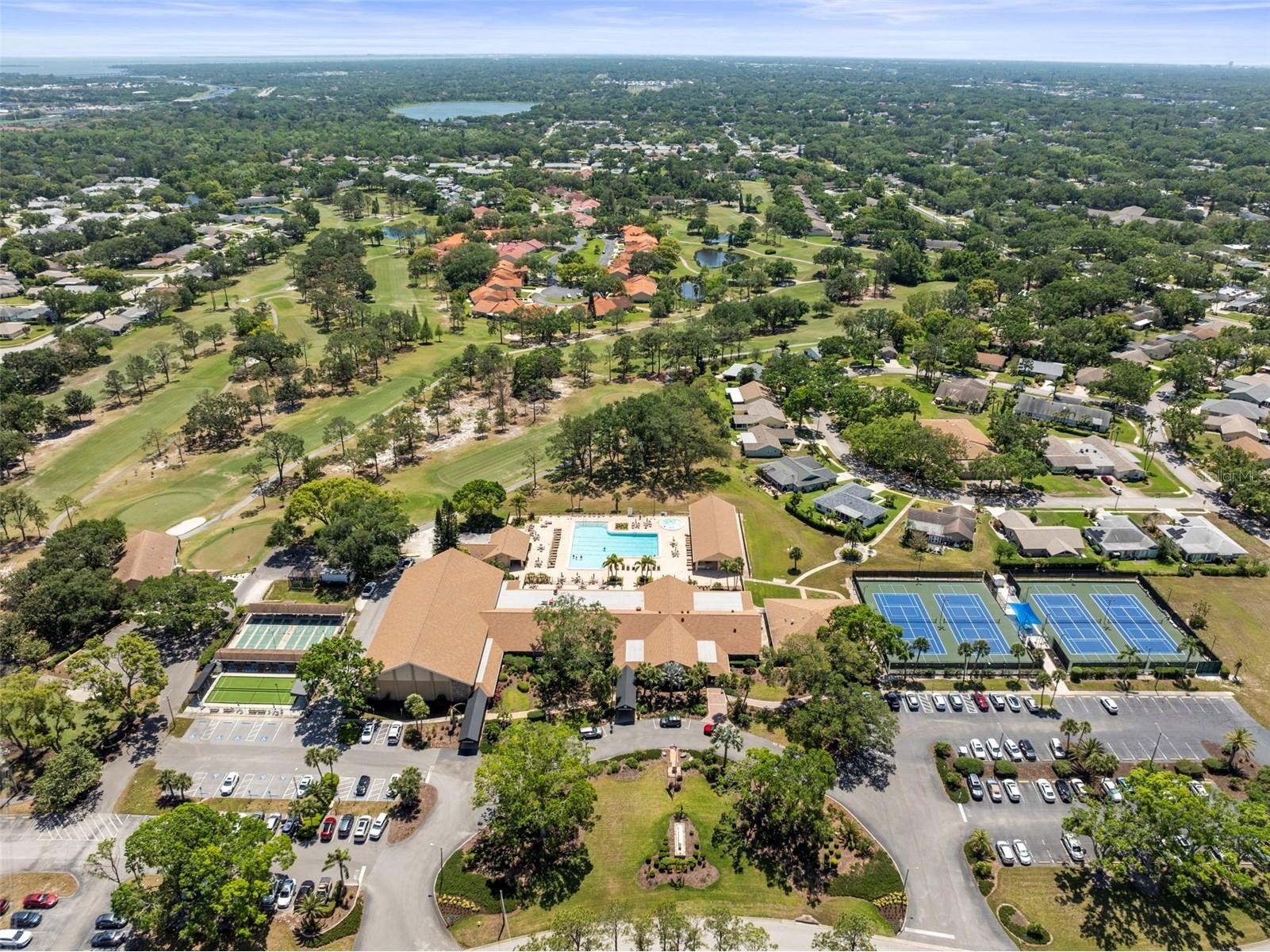 2735 Sherbrooke Lane #D Palm Harbor FL 34684 TB8461202 image32