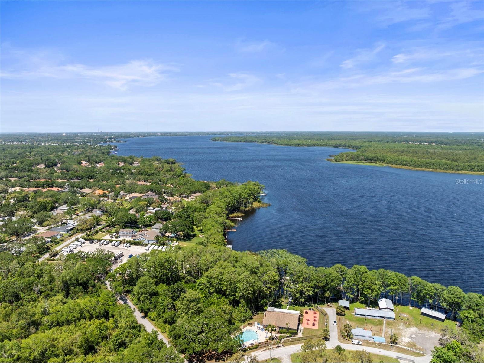 2735 Sherbrooke Lane #D Palm Harbor FL 34684 TB8461202 image37