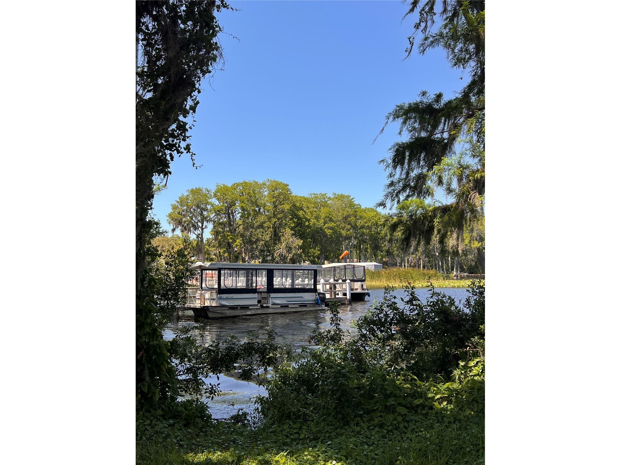 2735 Sherbrooke Lane #D Palm Harbor FL 34684 TB8461202 image38