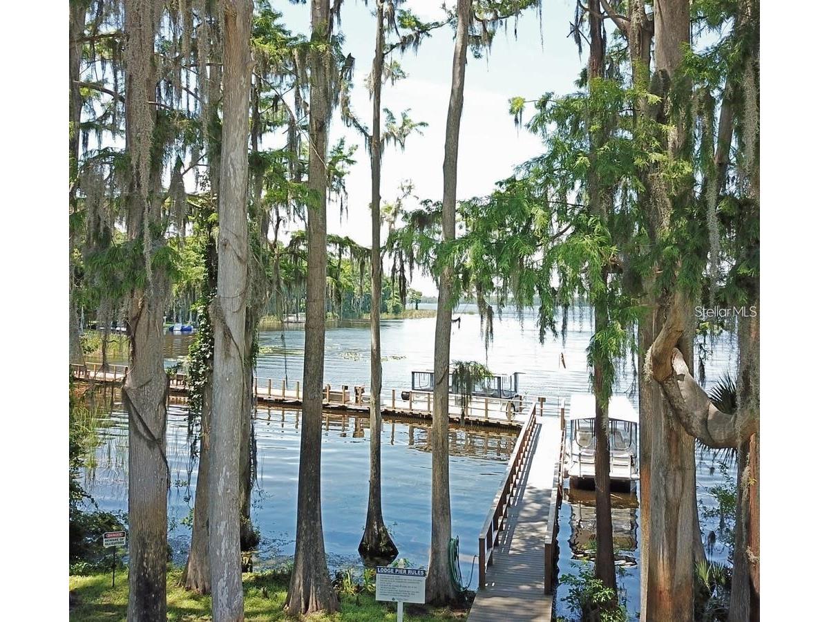 2735 Sherbrooke Lane #D Palm Harbor FL 34684 TB8461202 image39