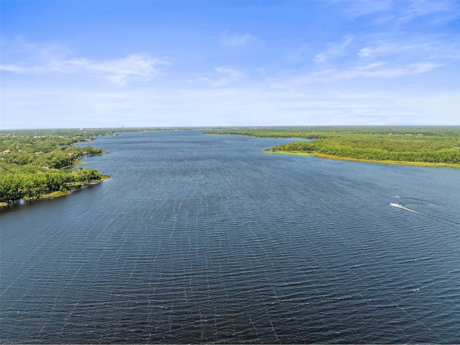 2735 Sherbrooke Lane #D Palm Harbor FL 34684 TB8461202 image40