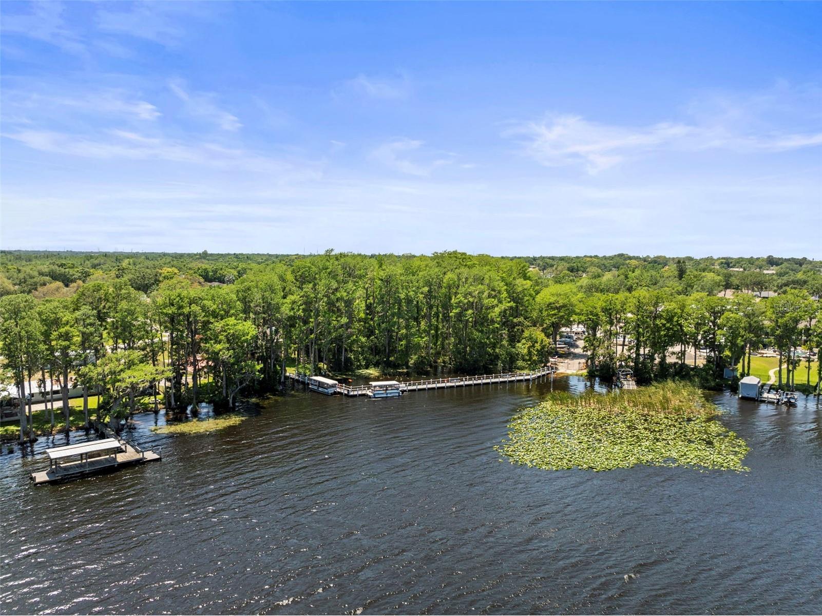 2735 Sherbrooke Lane #D Palm Harbor FL 34684 TB8461202 image41