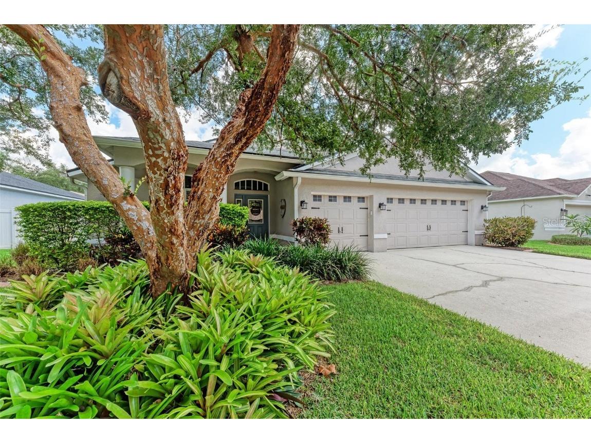 2735 Valencia Grove Drive Valrico FL 33596 A4621772 image1