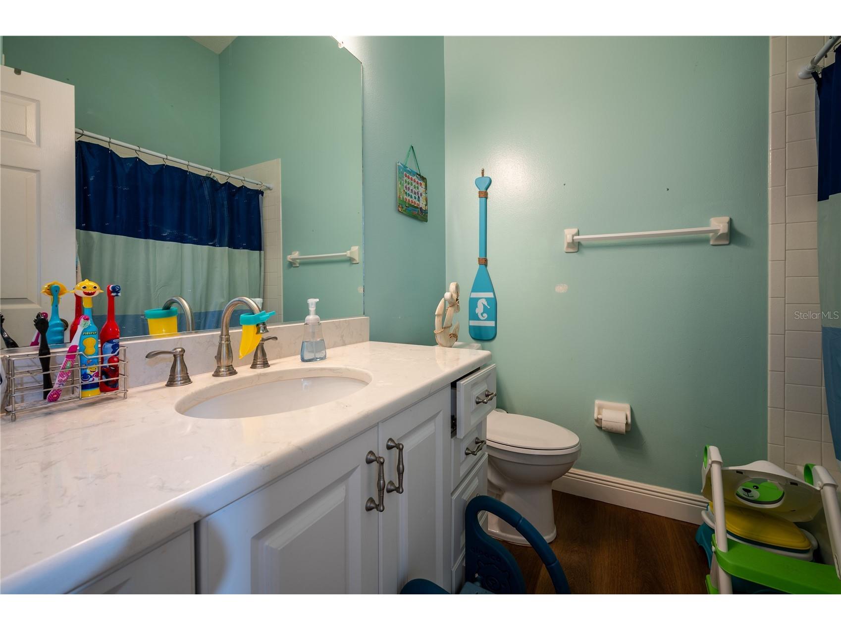 27350 New Smyrna Drive Wesley Chapel FL 33544 TB8474073 image17