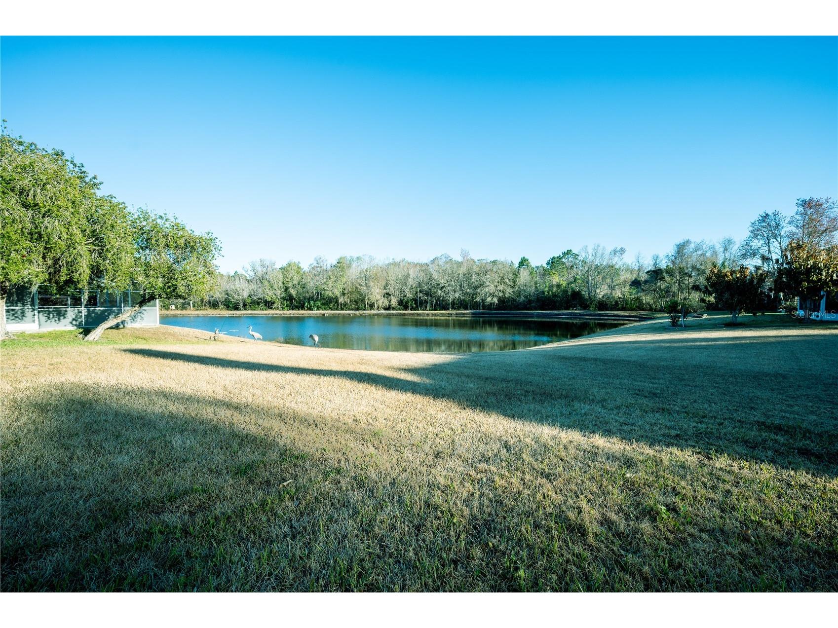 27350 New Smyrna Drive Wesley Chapel FL 33544 TB8474073 image25