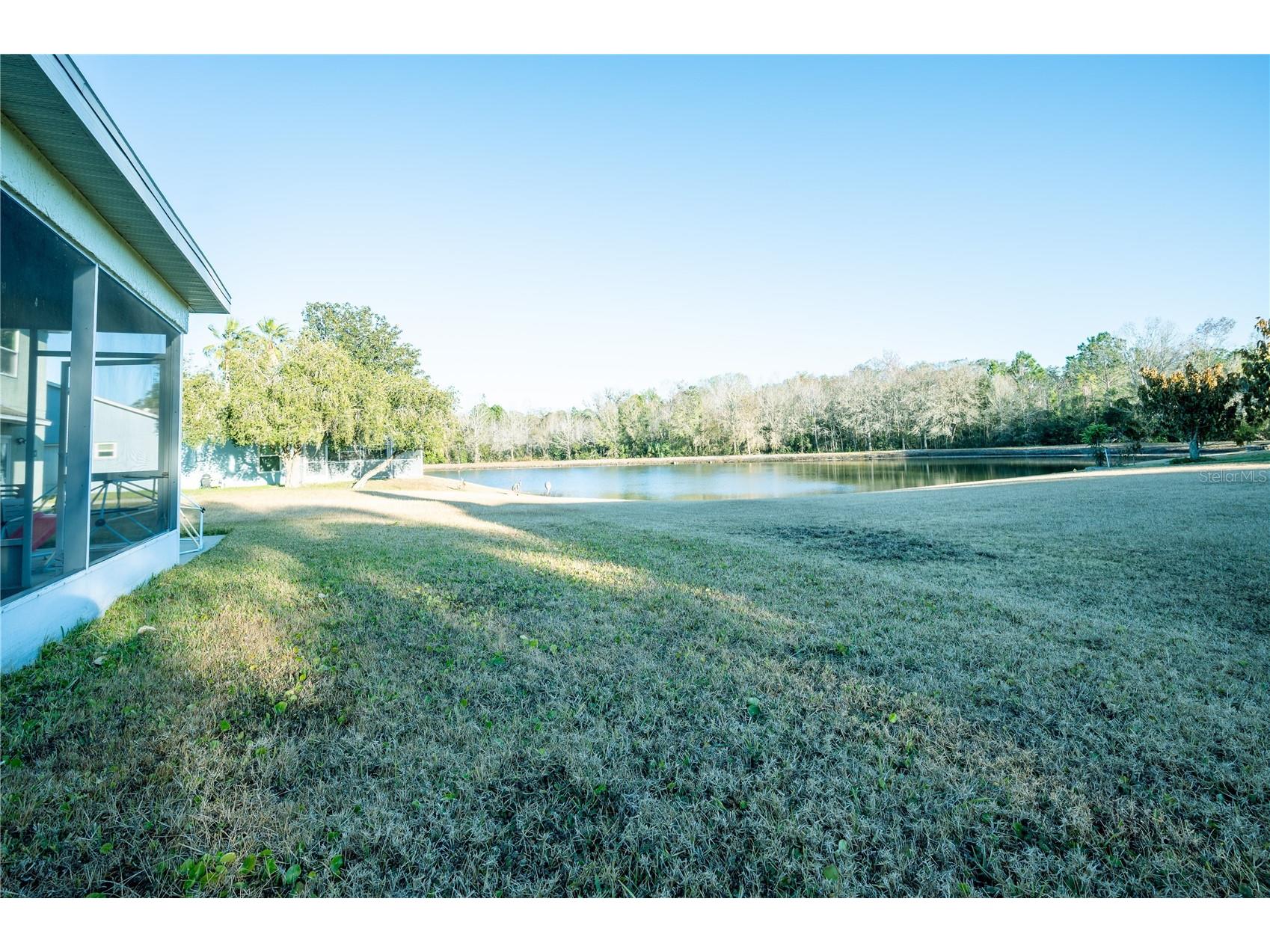 27350 New Smyrna Drive Wesley Chapel FL 33544 TB8474073 image28