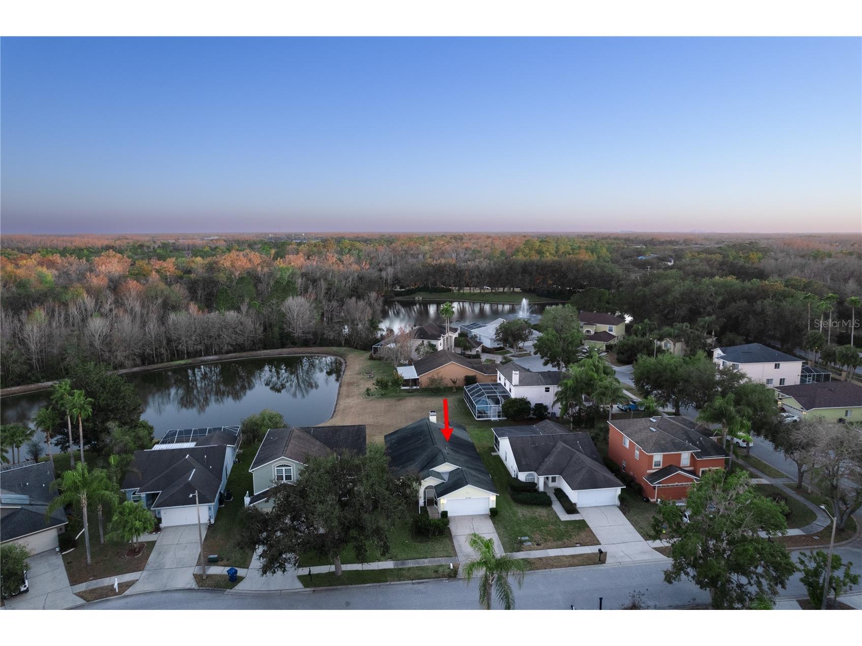 27350 New Smyrna Drive Wesley Chapel FL 33544 TB8474073 image29