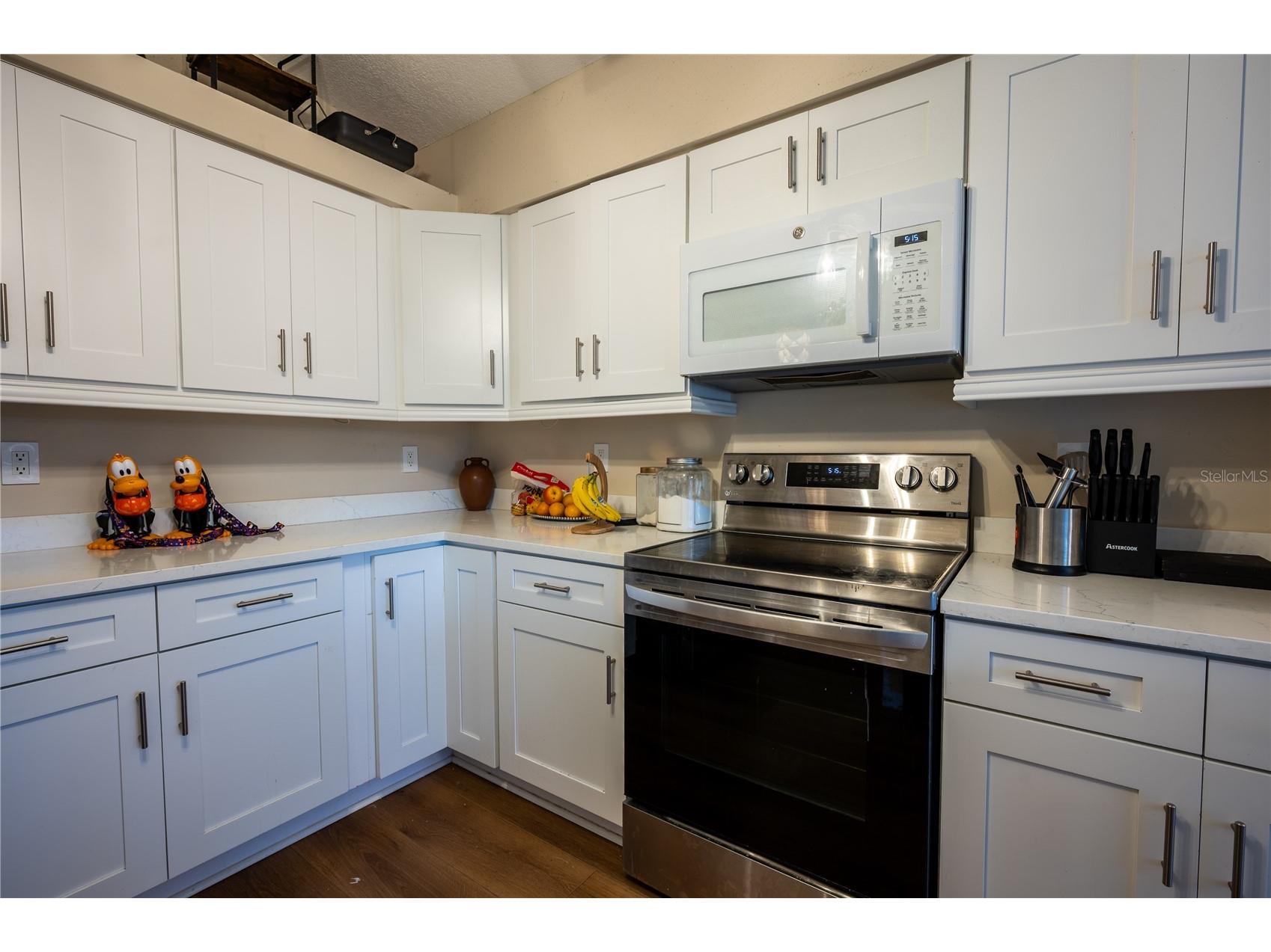 27350 New Smyrna Drive Wesley Chapel FL 33544 TB8474073 image9