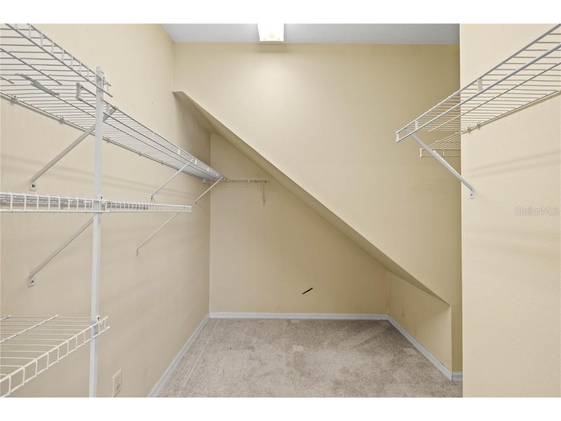 27353 Edenfield Drive Wesley Chapel FL 33544 TB8391874 image10