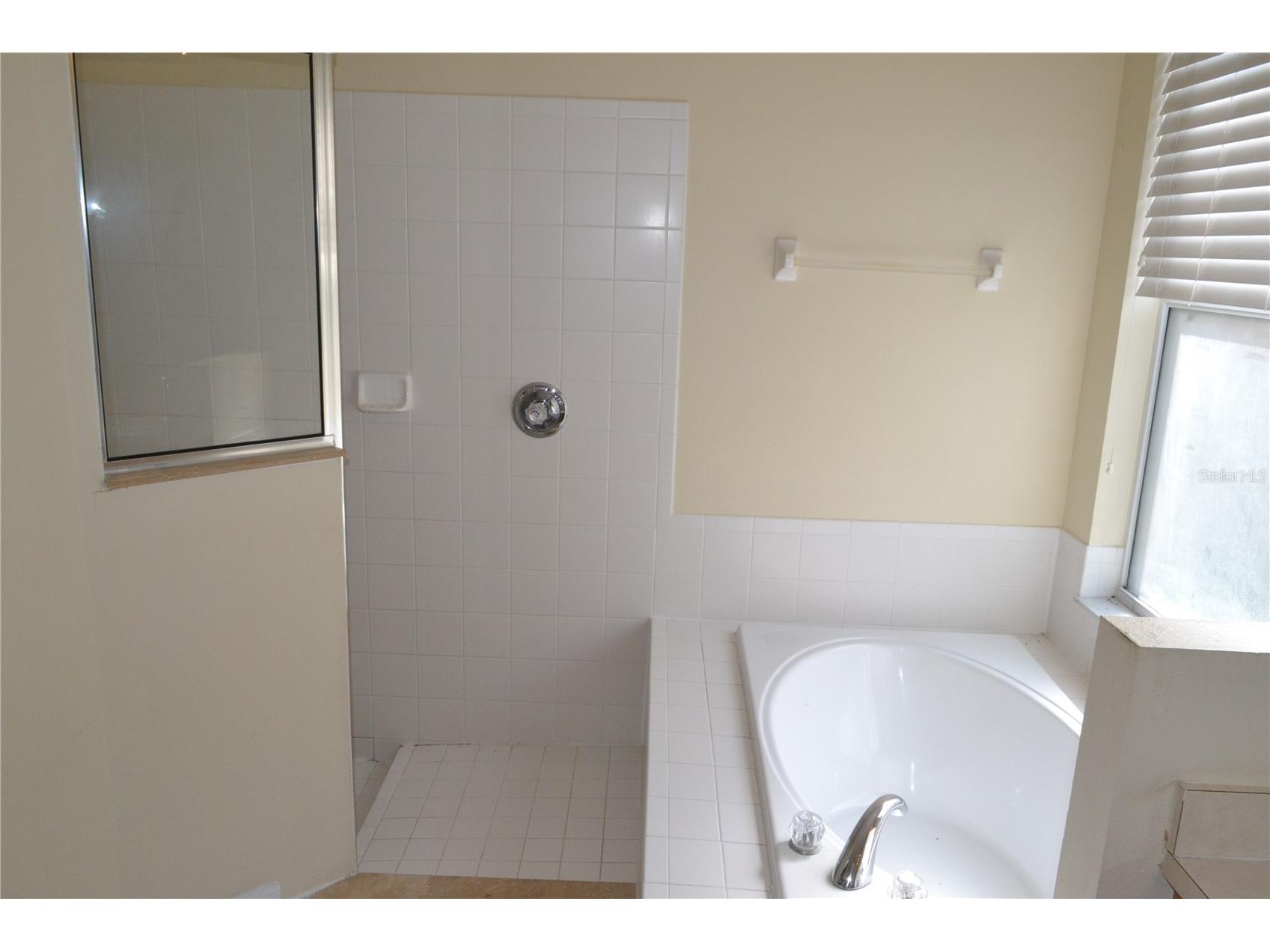 27353 Edenfield Drive Wesley Chapel FL 33544 TB8483082 image17