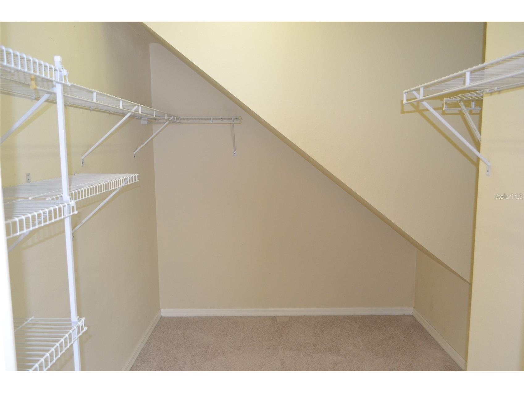 27353 Edenfield Drive Wesley Chapel FL 33544 TB8483082 image18