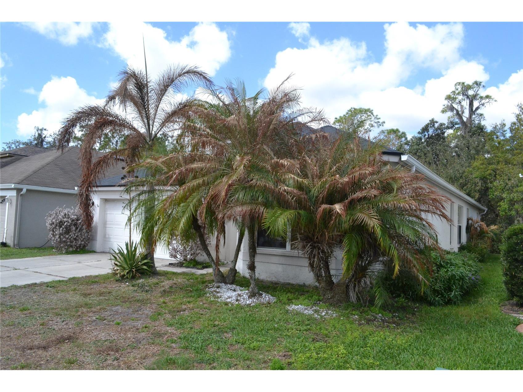 27353 Edenfield Drive Wesley Chapel FL 33544 TB8483082 image3