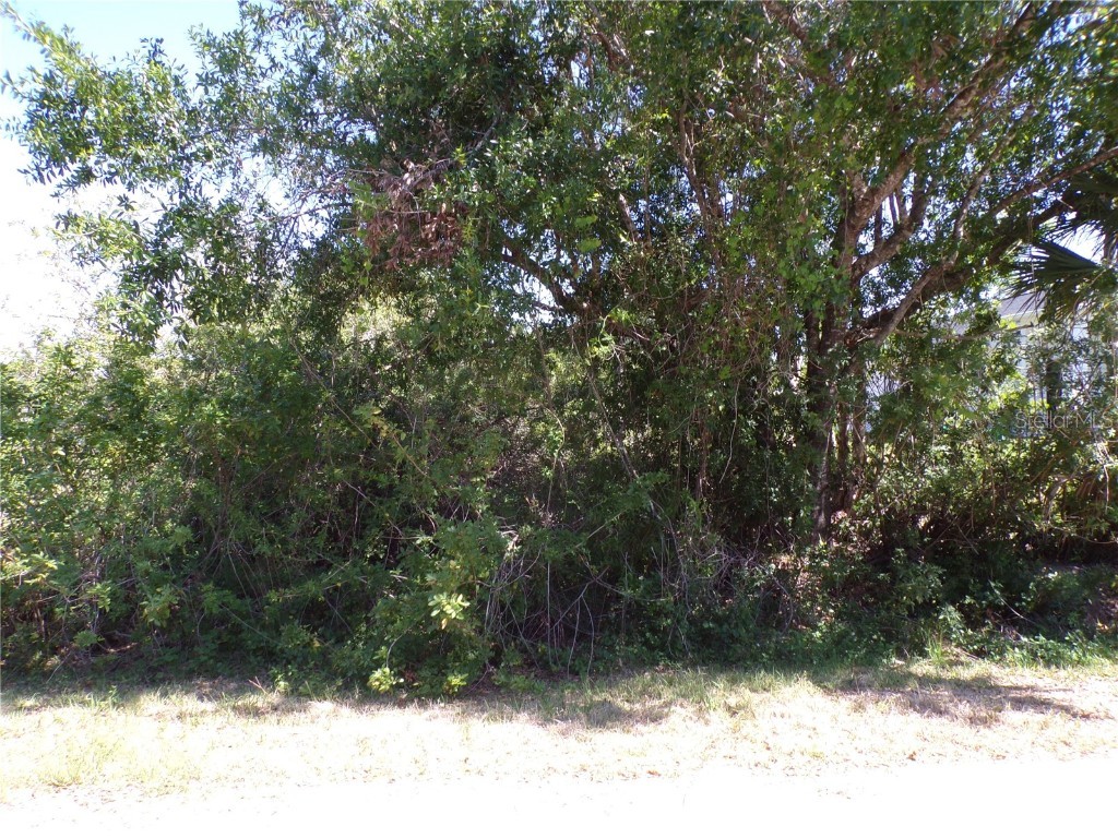 27354 Las Lomas Drive Punta Gorda FL 33955 C7508854 image1