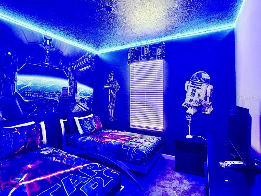 2736 Bookmark Drive Kissimmee FL 34746 O6358873 image12