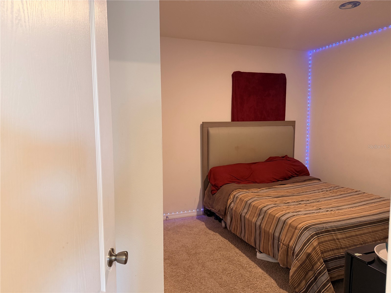 2736 Dumont Lane Tavares FL 32778 S5141128 image7