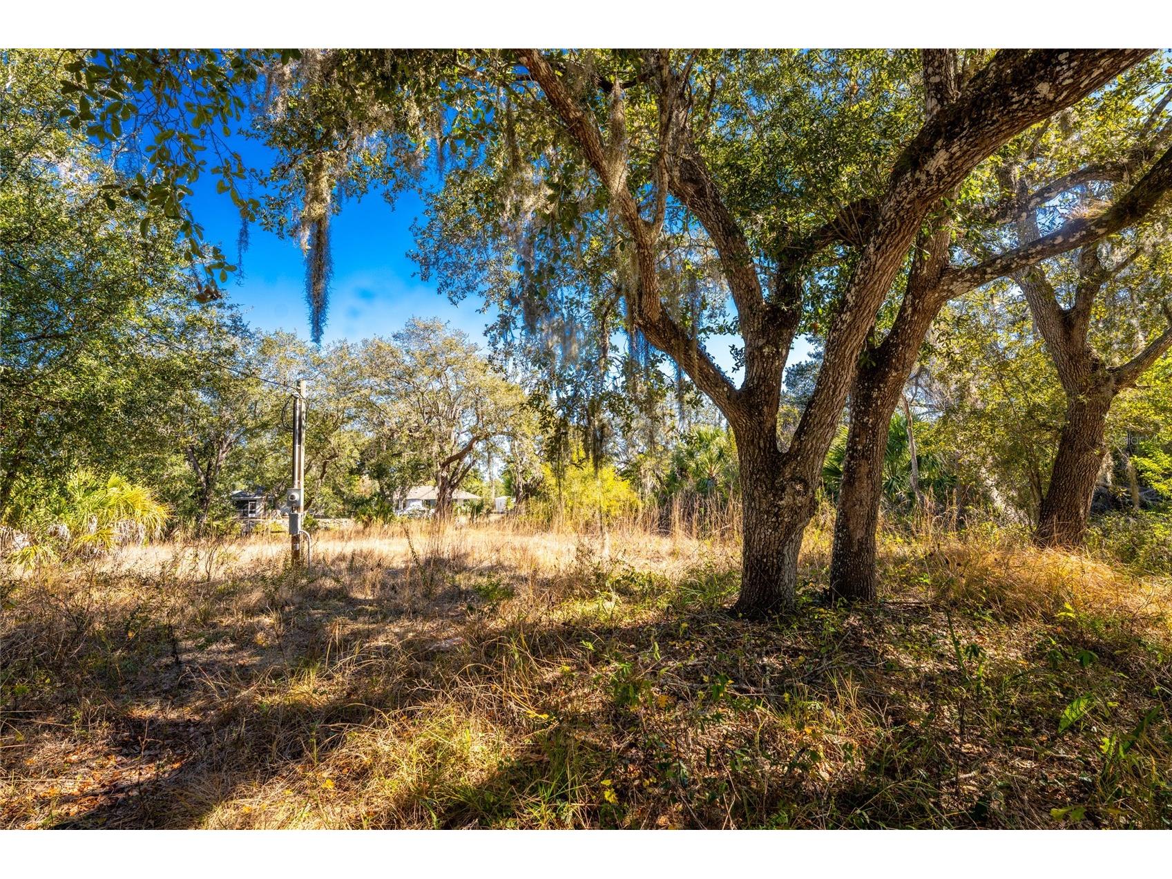 27362 San Carlos Drive Punta Gorda FL 33983 TB8477732 image1